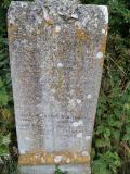 image of grave number 499538